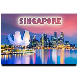 Singapore Fridge Magnet Art Science Museum Travel Souvenir Marina Bay Sands