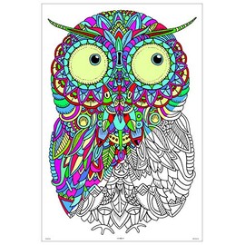 Stuff2Color Baby Owl - Giant Coloring Poster - 32.5" X 22" (Great for Family Time, Adults, Kids, Classrooms, Care Facilities and Group Activities - Includes Reusable Rigid Storage Tube)