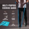 Therapy Flat Resistance Bands Set, Exercise Stretch Bands for Stretching,