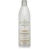 ALFAPARF Shampoos 500 ml