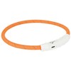 Trixie Flashing Light Ring USB XS - S (35 cm/diameter