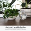 Plantstraws Beautiful Self-Watering Wick System for Effortless Plant Care, Automatic