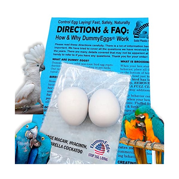 DummyEggsⓇ USA. Large Parrot Dummy Eggs Control Breeding & Laying!