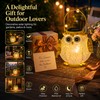 Solar Hanging Owl Lantern – IP44 Waterproof Metal Garden Light