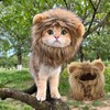 Lion Mane Pet Hat for Cat Dress-Up – Elastic Headgear
