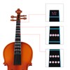 TRADERPLUS Violin Note and Finger Guide Fingerboard Sticker - Removable