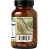 Santa Cruz Paleo Enzimas digestivas antes de la comida