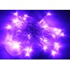 Karlling Battery Operated Purple 40 LED Fairy Light String Wedding
