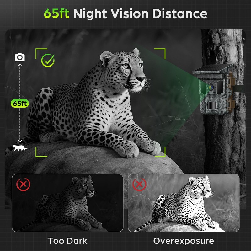 VIDVIS Trail Cameras - 4K 64MP Game Cam with Night