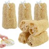Esponjas de lufa de pepino de 10 cm, exfoliantes naturales