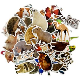 MEMOFYND 100 Animal Stickers, Realistic Animal Stickers, Waterproof Photo Stickers, Reusable Stickers for Children, Forest Animal Stickers, Funny Stickers for Children