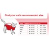MPS Medical Pet Shirt Cat, Surgery Recovery Suit, Orange, XX-Small