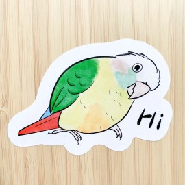 Handmade Green Cheek Conure Stickers (cinnamon) Parrot Sticker