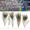 12pcs Beautiful Natural Peacock Feathers 25-30cm for DIY Wedding Holiday