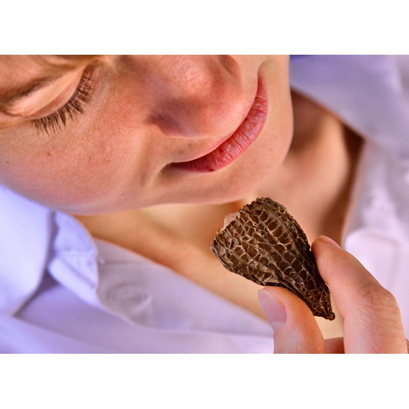Wild Morel Mushrooms - Sun-Dried Caps (4 - 8 cm)