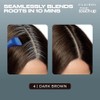 Clairol Nice 'n Easy Root Touch-up Permanent Hair Color, 4