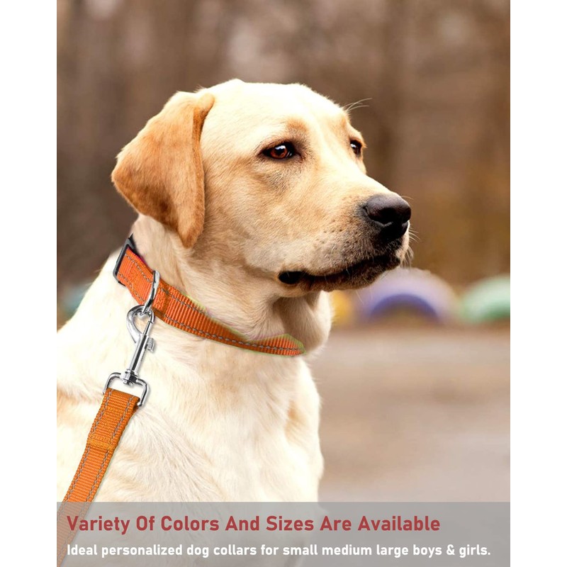 Reflective Dog Collar with Buckle Adjustable Safety Nylon Collars for