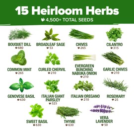 HOME GROWN 15 Herb Seeds for Planting 4,500+ Non-GMO Heirloom Seeds | Extra Large Variety Pack Herb Kit – Indoor Outdoor & Hydroponic | Culinary Seed Set | Grow Your Own Herbs | Gardening Gift