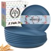 Homienly Deep Dinner Plates Set of 8-9 inch Alternative for