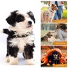 Qianruida Studded Leather Collar for Dogs, Adjustable Anti-Biting Individuality Collar,