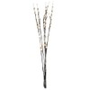 Light Garden 01761-184143 Electric Willow Lighted Branches