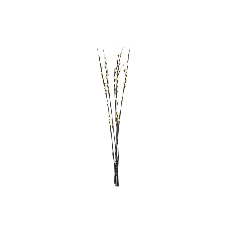 Light Garden 01761-184143 Electric Willow Lighted Branches