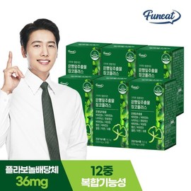 Furnit 퍼니트 기억력 혈행개선 은행잎추출물 징코플러스 6박스 6개월분 Furnit Memory Blood Flow Improvement Ginkgo Biloba Extract Ginkgo Plus 6 Boxes 6-Month Supply