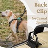 rabbitgoo Dog Harness Small Sized, No Pull Pet Harness with