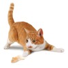 SmartyKat Race 'N Chase Electronic Motion Remote Controlled Mouse Cat