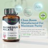 Best Immune Natural Magnesium Malate 500 mg Increased Bioavailability 100