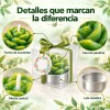 48pzs Velas Cactus Aromaticas Suculento Decorativas Con Caja