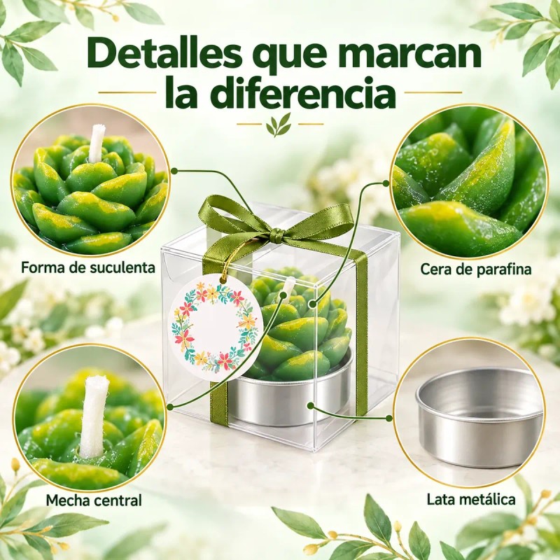 48pzs Velas Cactus Aromaticas Suculento Decorativas Con Caja