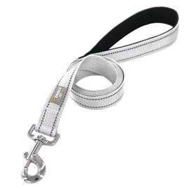 PenSeepet Dog Leash 6 FT Padded Handle Nylon Reflective Dogs Leashes for Large Dogs Silver