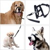 WUDQIJI Training Harness Dog Halter Pet Muzzle for Dogs Muzzle