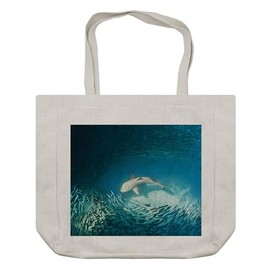 Ambesonne Sea Animals Shopping Bag, Shark and Small Fish Ocean Wilderness Waterscape Wildlife Nature Theme Picture, Eco-Friendly Reusable Bag for Groceries Beach and More, 15.5" X 14.5", Cream