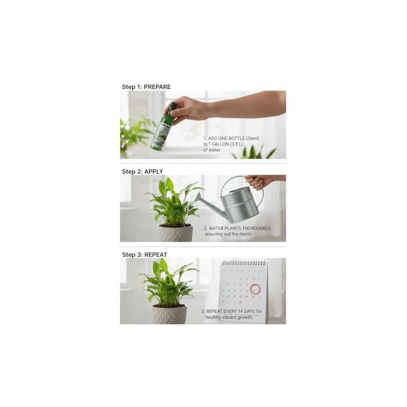 All-Purpose Super Green Bamboo Plant Food – Pack of 10