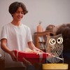 OkiyiD Owl Night Light LED Illusion Lamp for Home Bedroom