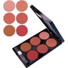 KARLOR 6 Colours Blush Palette Matte Blush Powder Blush Palette