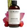 Lumara, Esencia Ambiental Aroma Hotel Wynn para Difusor Profesional, 250