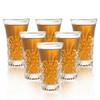 BCnmviku 6Pack Shot Glasses 65ML/2.2OZ Tequila Glasses Heavy Base Cordial