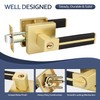 Gold Door Handle 1 Pcs, Privacy Door Levers with Black