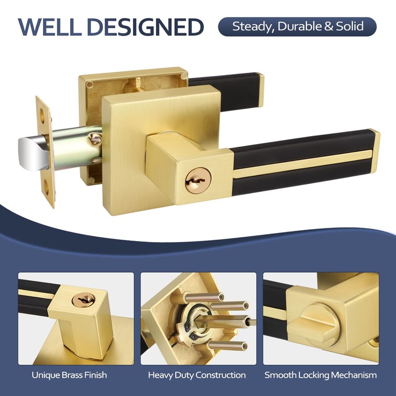 Gold Door Handle 1 Pcs, Privacy Door Levers with Black