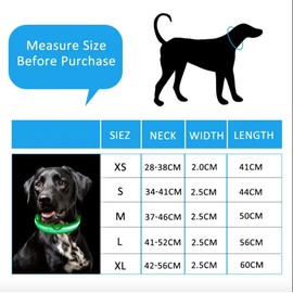 LED Dog Collar Flashing Light Up Collar 100% Waterproof Safety Adjustable Pets Collar Increased Visibility Super Bright for Small Medium Large Dog XS (28cm-38cm), Red