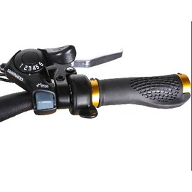 Throttle for Cruiser