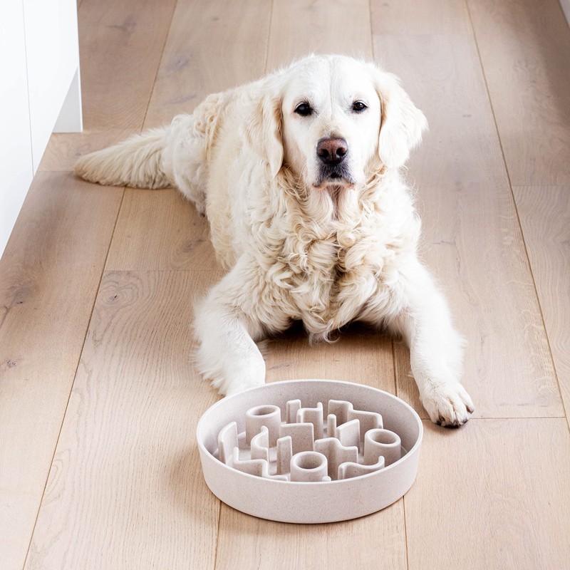 District 70 Bamboo Dog Slow Feeder, 21 cm, Merengue