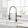 Modern Single-Hole Matte Black with Gold Pull Down Kitchen Faucet