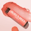 Burt's Bees 100% Natural Tinted Lip Balm, Zinnia, 0.15 Oz,