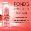 Pond's Cuidado Facial Fruity Hydra Fresh Sandía Limpiador Facial 200