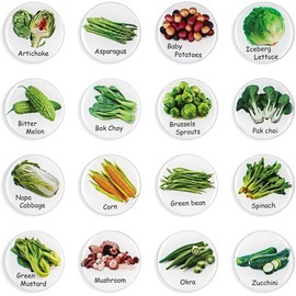 16 Pieces Vegetables Food Magnets Fridge Refrigerator Kitchen Food List New