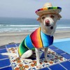 CIEOVO Dog Sombrero Hat, Mini Straw Sombrero Hats Mexican Hats